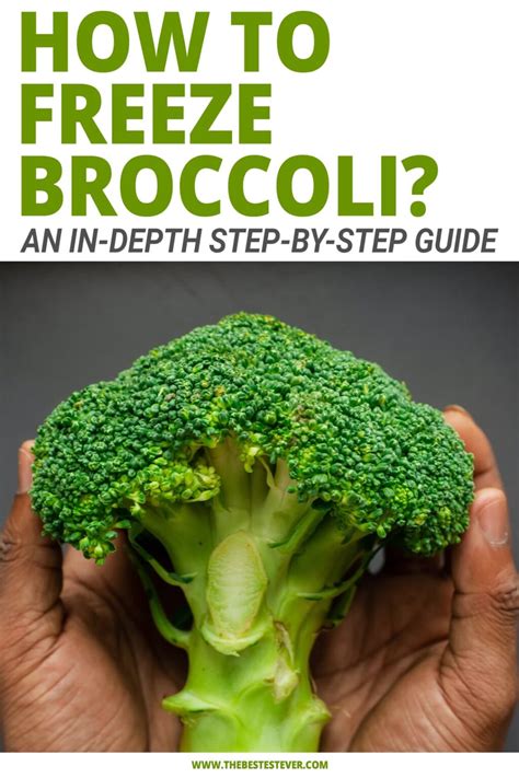 How to Freeze Broccoli (Step-by-Step Instructional Guide)