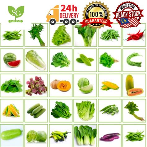 ⭐⭐Vegetable Seeds / Biji Benih sayur-sayuran / 蔬菜种子/NON GMO/Wholesale1 ...