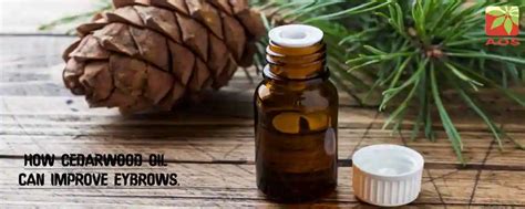 Essential Oils For Eyebrow Growth: How to use| AOS Blog