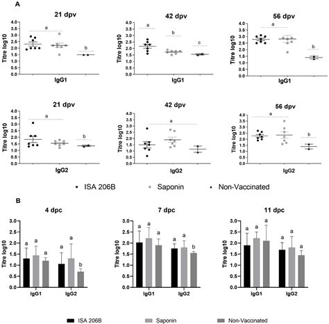 Efficacy of SAT2 Foot-and-Mouth Disease Vaccines Formulated with ...