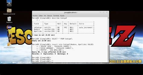 MariaDB with Java 的图像结果