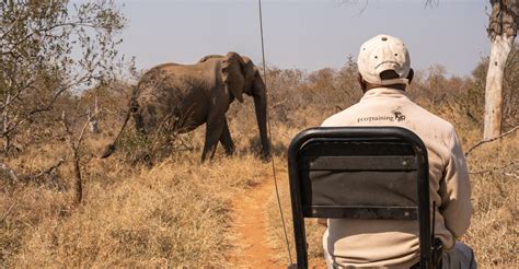 Eco Training Programs 的图像结果