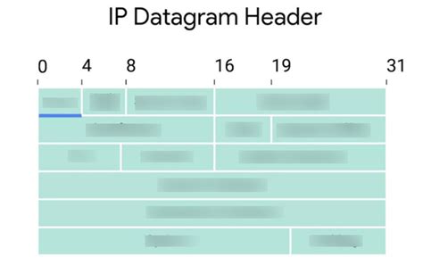 Datagram Header 的图像结果
