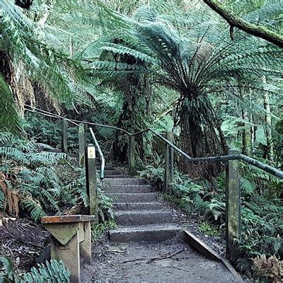 MSA Trips: 1000 Steps Day Trip, Robert Blackwood Hall, Monash ...