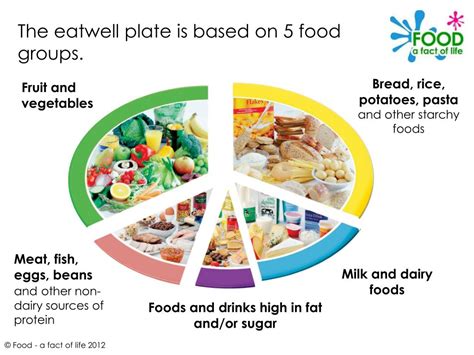 Image result for Eat Well Guide Plate