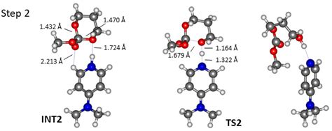 DFT Investigations on the Ring-Opening Polymerization of Trimethylene ...