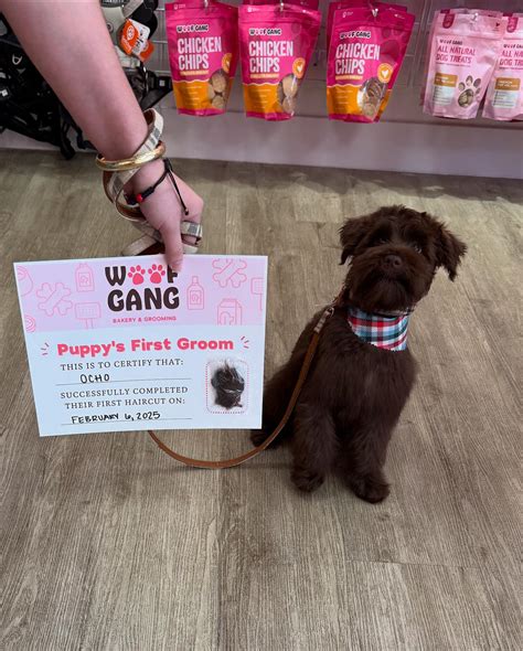 Woof Gang Bakery & Grooming Del Sol (Riverview, FL) | Looking for a ...
