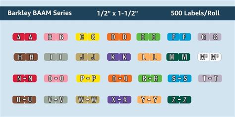 Buy Doctor Stuff - File Folder Labels, Alphabet Letter D, Barkley FABAM ...