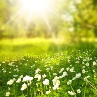 Image result for Lisa Venable Course In Miracles