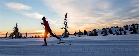Classic, skating, backcountry? Cross country skiing styles explained
