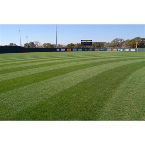 Natural Grass Field 的图像结果