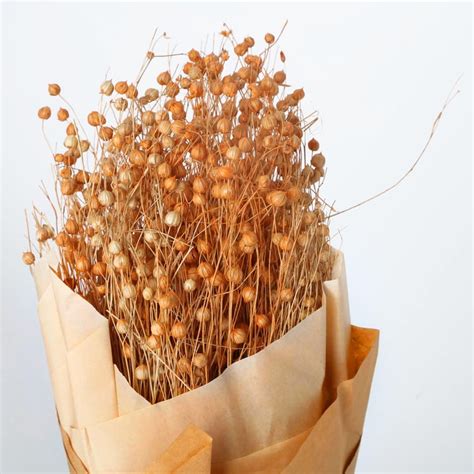 Buy Dastkari Artificial Dried Tishi Grass Bouquet - 50cm from Home ...