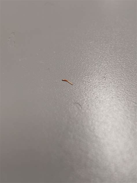 Image result for Splinter in Hand