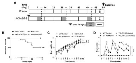 Vitamin D3 Upregulated Protein 1 Deficiency Promotes Azoxymethane ...