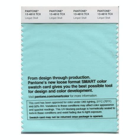 Image result for Limpet Shell Color