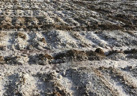 Bentonite - CMS Industries | Bentonite | Bentonite clay | Bentonite ...