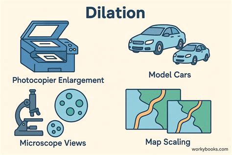 Image result for Dilation and Compression Examples