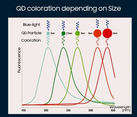 4 Types of Quantum Dot Displays: QLED vs QDEL vs QD-OLED vs QD-micro LED