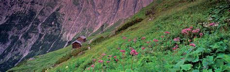 Die Essenz der Marke Vorarlberg - Genussvolle Lebenskunst