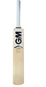 GM Octane F2 Striker Kashmir Willow Cricket Bat, Junior Size 6 : Amazon ...