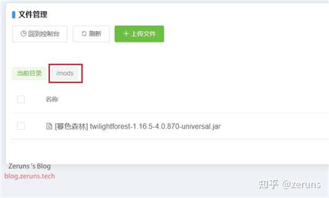 Import Settings Minecraft Java 的图像结果