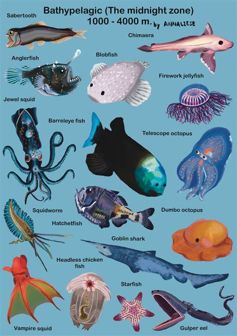 The midnight zone by annaisalobster on DeviantArt