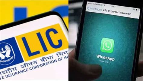 LIC on WhatsApp: How to Activate LIC WhatsApp? Here is the Step by Step ...