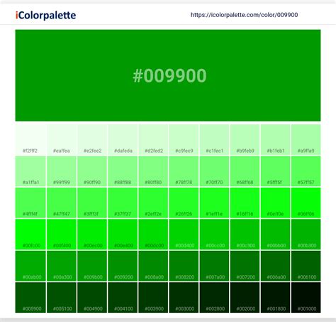 Islamic Green Color | 009900 | Color conversion CMYK | Hsl | Rgb ...