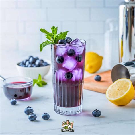 Blueberry Vodka Lemonade Cocktail Recipe - Thirsty Tales