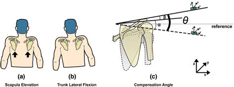Image result for Compensatory Movement Examples