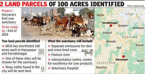 Cow Sanctuary: Haryana Government to Establish Cow Sanctuary to Tackle ...