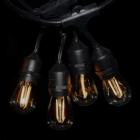 Image result for LED String Lights with Double Base