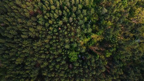 Image result for Traditional Lithium Extraction