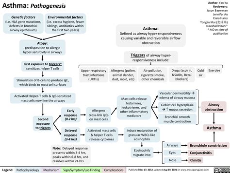 Asthma: Pathogenesis | Calgary GuideCalgary Guide