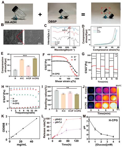 Multifunctional Nanocomposite Hydrogel with Enhanced Chemodynamic ...