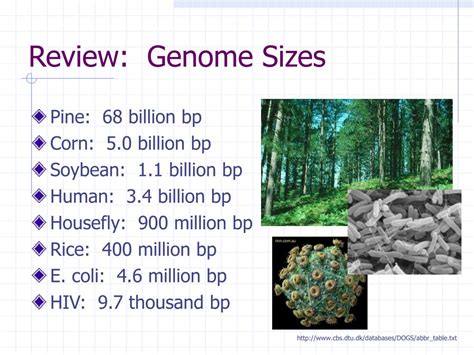 Image result for PCR Introduction