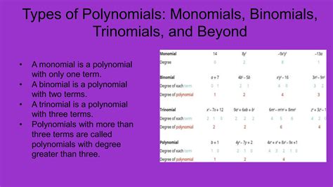 Polynomials Introduction 的图像结果