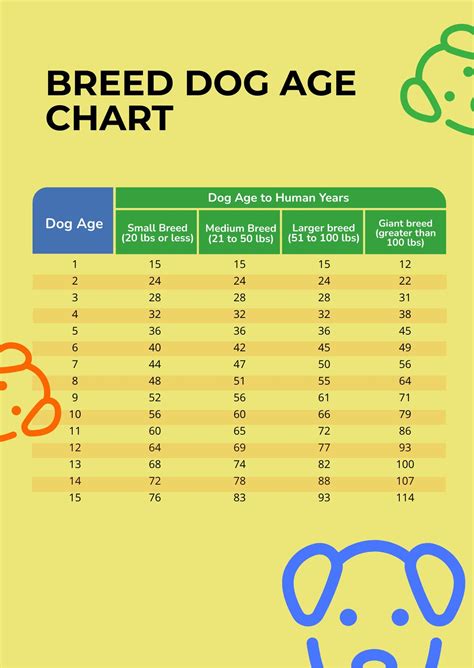 Your Dog39s Age In Human Years A Conversion Chart Pets Dogs Pets