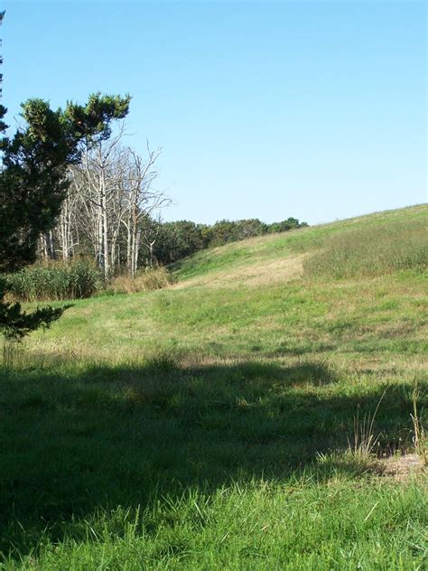 Southern Ocean Landfill – Protecting the New Jersey Pinelands and Pine ...