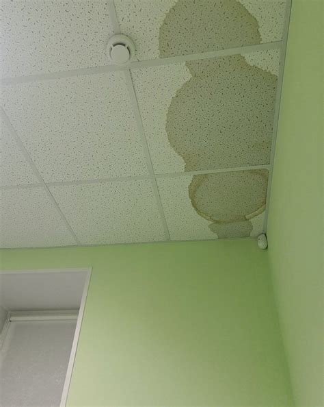 HOSTEL RUSKEALA - Hostel Reviews & Photos - Tripadvisor