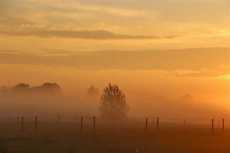 Simulated Annealing Python 的图像结果