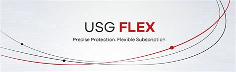 Zyxel USGFLEX100 Network Security Gateway |UTM Firewall Appliance ...