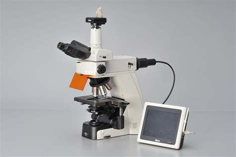 Nikon Ci Series Upright Microscope - Labtech