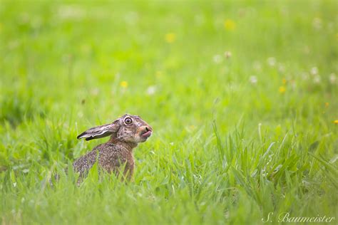 Image result for Haste Ein Problem