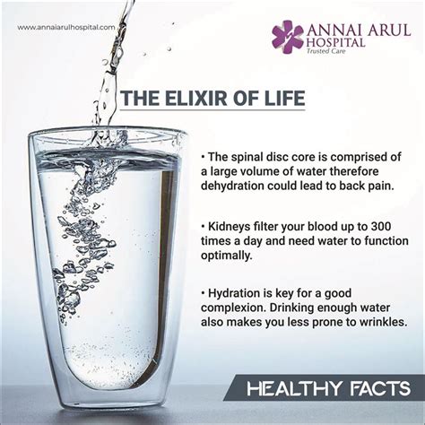 Image result for Elixir En Life