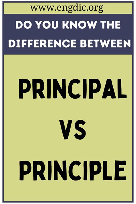 Principal vs Principle (What's the Difference?) - EngDic