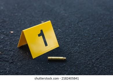 Image result for Bullet Shell Hexadecimal Code