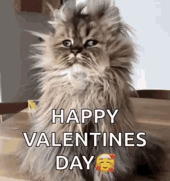 Funny Valentines Day GIFs | Tenor
