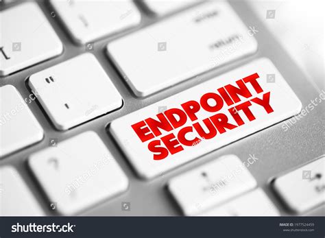 Endpoint Computer 的图像结果
