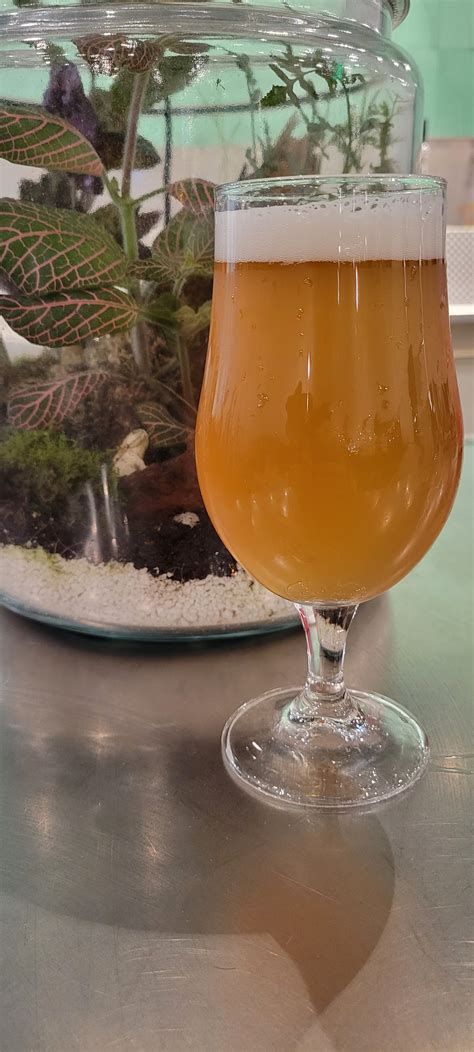 Our Beer — Wandering Leaf Brewing Co.